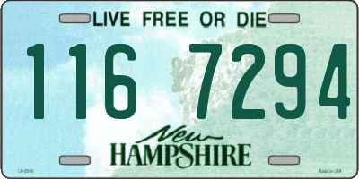 NH license plate 1167294