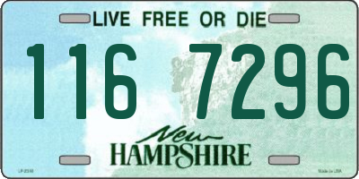 NH license plate 1167296