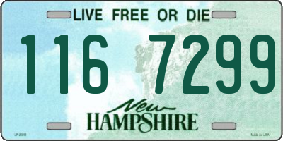 NH license plate 1167299