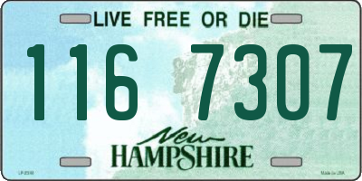 NH license plate 1167307