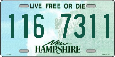 NH license plate 1167311