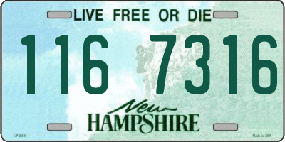 NH license plate 1167316