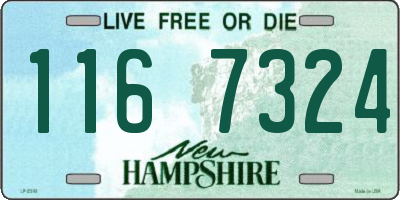 NH license plate 1167324