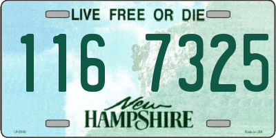 NH license plate 1167325