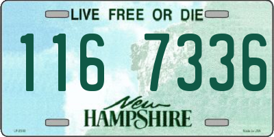 NH license plate 1167336