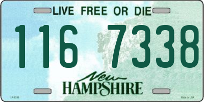 NH license plate 1167338