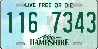 NH license plate 1167343