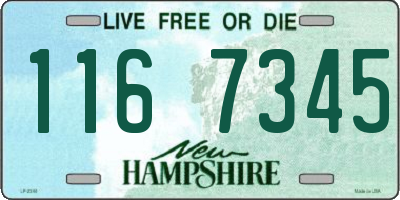NH license plate 1167345