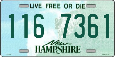 NH license plate 1167361