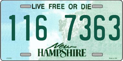 NH license plate 1167363