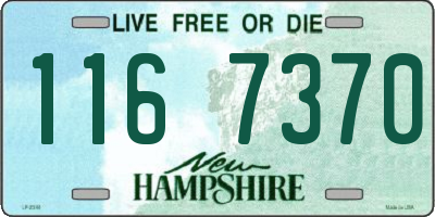NH license plate 1167370