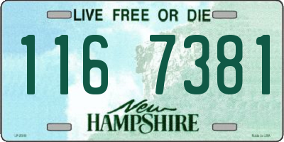 NH license plate 1167381