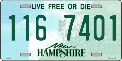 NH license plate 1167401