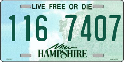 NH license plate 1167407