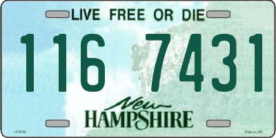 NH license plate 1167431