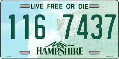 NH license plate 1167437