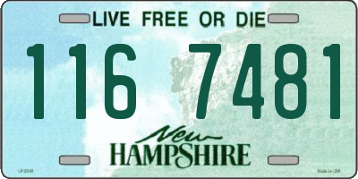 NH license plate 1167481