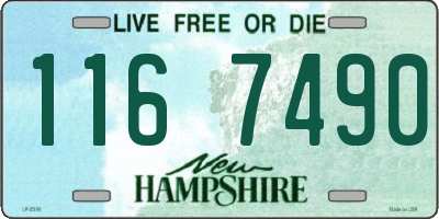 NH license plate 1167490
