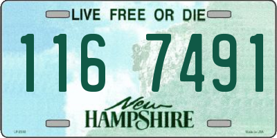 NH license plate 1167491