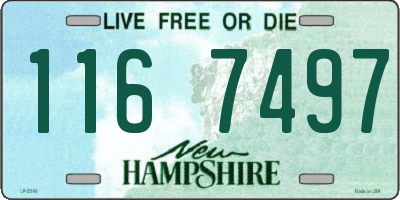 NH license plate 1167497