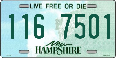 NH license plate 1167501