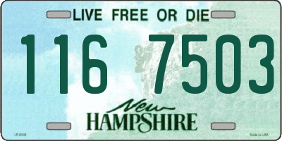 NH license plate 1167503