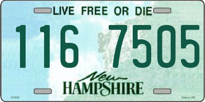 NH license plate 1167505