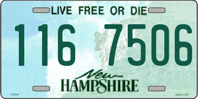 NH license plate 1167506