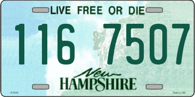 NH license plate 1167507