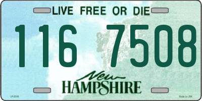 NH license plate 1167508