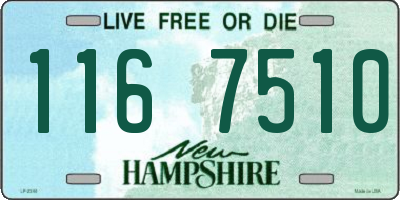 NH license plate 1167510