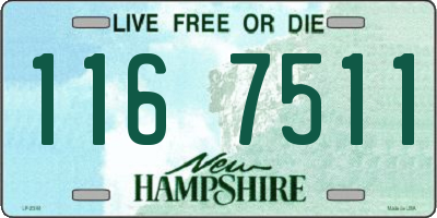 NH license plate 1167511