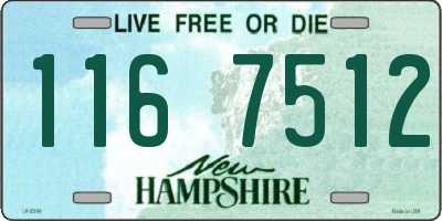 NH license plate 1167512