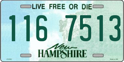 NH license plate 1167513