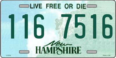 NH license plate 1167516