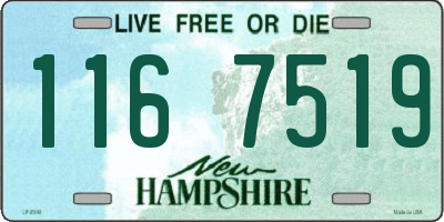 NH license plate 1167519