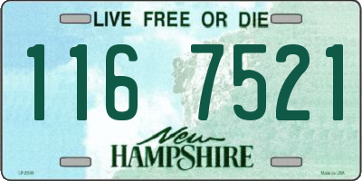 NH license plate 1167521