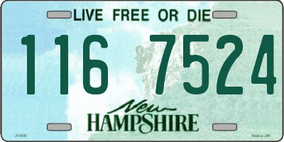 NH license plate 1167524