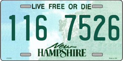 NH license plate 1167526