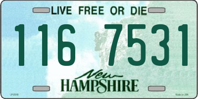 NH license plate 1167531