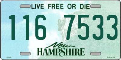 NH license plate 1167533