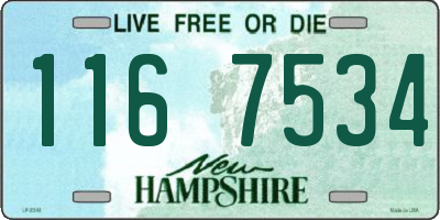 NH license plate 1167534