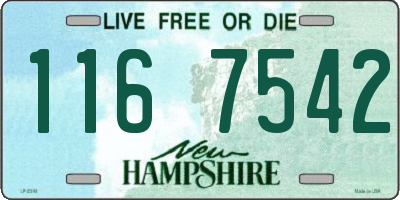 NH license plate 1167542
