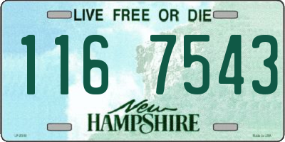 NH license plate 1167543