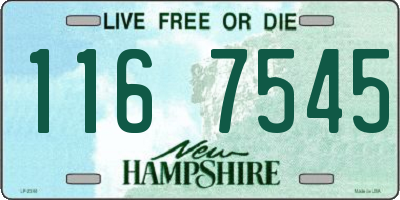 NH license plate 1167545