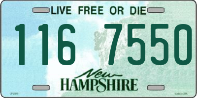 NH license plate 1167550