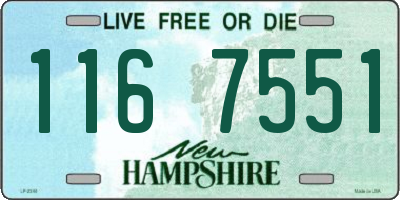 NH license plate 1167551