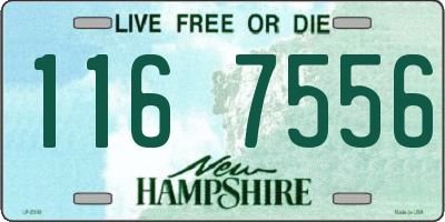 NH license plate 1167556