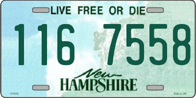 NH license plate 1167558