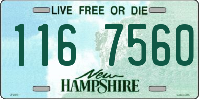 NH license plate 1167560